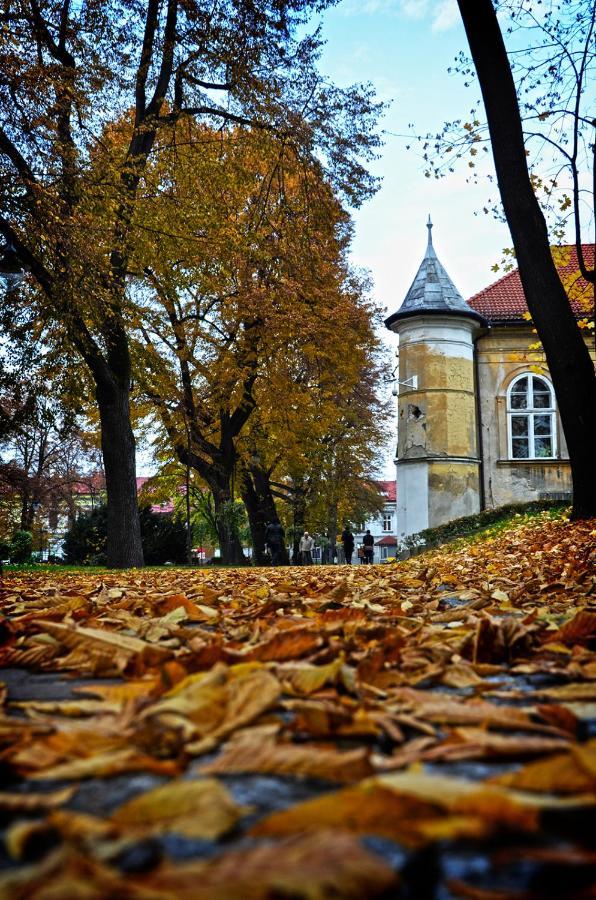 Apartamenty Centrum Andrychów Eksteriør billede
